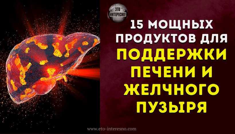 15 МОЩНЫХ ПРОДУКТОВ ДЛЯ ПОДДЕРЖКИ ПЕЧЕНИ И ЖЕЛЧНОГО ПУЗЫРЯ