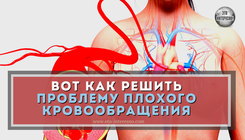 СТРАДАЕТЕ ОТ ПЛОХОГО КРОВООБРАЩЕНИЯ? ВОТ КАК РЕШИТЬ ЭТУ ПРОБЛЕМУ