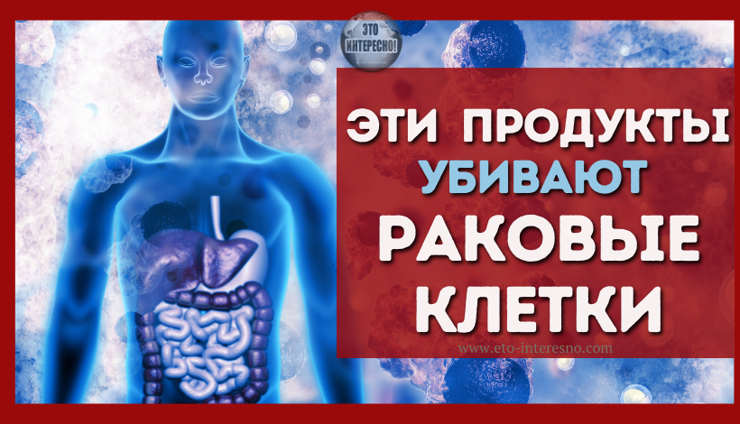 7 ПРОДУКТОВ, УБИВАЮЩИХ БАКТЕРИИ, ПРОВОЦИРУЮЩИЕ РАКОВЫЕ КЛЕТКИ