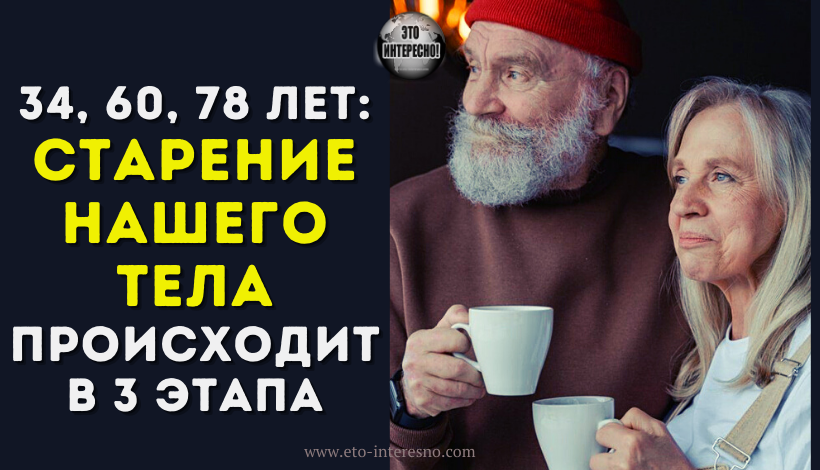 34, 60, 78 ЛЕТ: СТАРЕНИЕ НАШЕГО ТЕЛА ПРОИСХОДИТ В 3 ЭТАПА