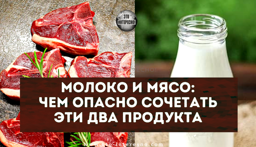 МОЛОКО И МЯСО: ЧЕМ ВРЕДНО СОЧЕТАТЬ ЭТИ ДВА ПРОДУКТА