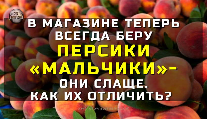 В МАГАЗИНЕ ТЕПЕРЬ ВСЕГДА БЕРУ ПЕРСИКИ «МАЛЬЧИКИ» — ОНИ СЛАЩЕ. КАК ИХ ОТЛИЧИТЬ?