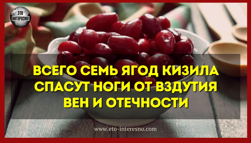 ВСЕГО СЕМЬ ЯГОД КИЗИЛА СПАСУТ НОГИ ОТ ВЗДУТИЯ ВЕН И ОТЕЧНОСТИ, ЕСЛИ СЪЕДАТЬ ИХ ВМЕСТЕ С КОСТОЧКАМИ