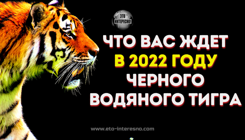 ЧТО ВАС ЖДЕТ В НАСТУПАЮЩЕМ 2022 ГОДУ ЧЕРНОГО ВОДЯНОГО ТИГРА (ДЛЯ ВСЕХ ЗНАКОВ ЗОДИАКА)