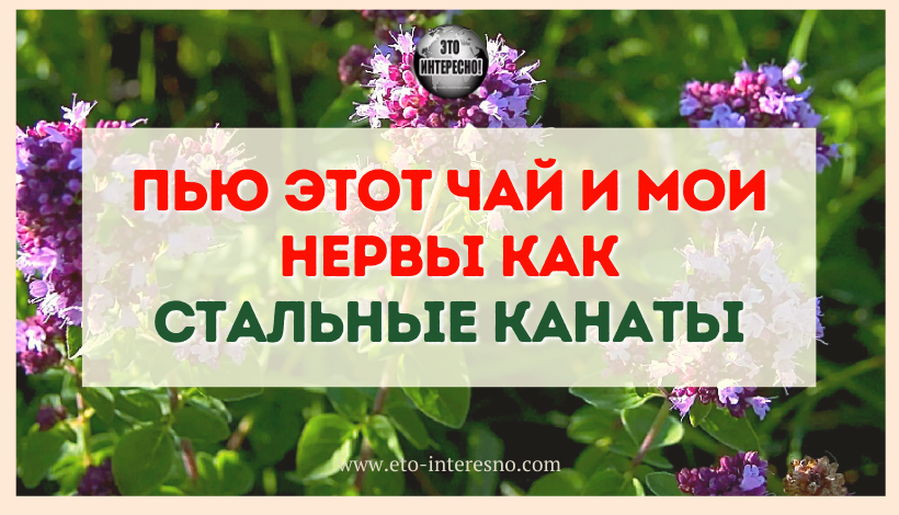 ПЬЮ ЭТОТ ЧАЙ И МОИ НЕРВЫ КАК СТАЛЬНЫЕ КАНАТЫ