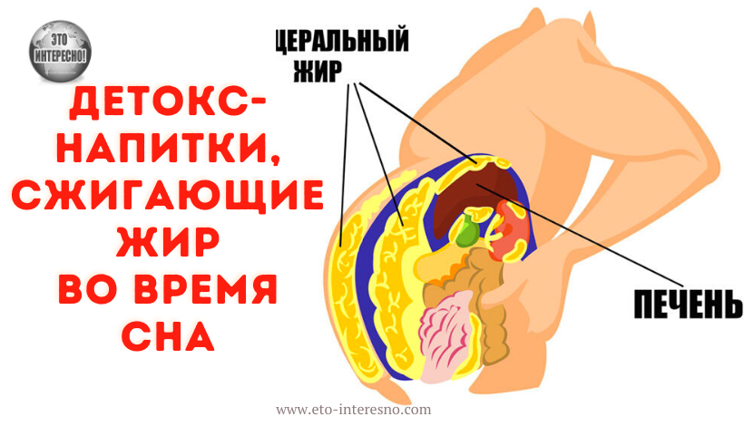 ДЕТОКС-НАПИТКИ СЖИГАЮЩИЕ ЖИР ВО ВРЕМЯ СНА: ДЕШЕВЫЕ КОКТЕЙЛИ ОЧИЩАЮЩИЕ ПЕЧЕНЬ И ЖГУТ ПО 15 КГ ЗА МЕСЯЦ!