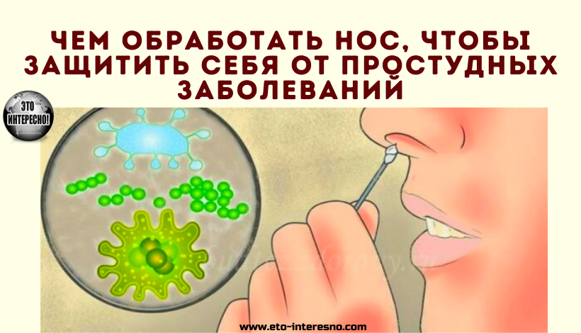 ЧЕМ ОБРАБОТАТЬ НОС, ЧТОБЫ ЗАЩИТИТЬ СЕБЯ ОТ ПРОСТУДНЫХ ЗАБОЛЕВАНИЙ