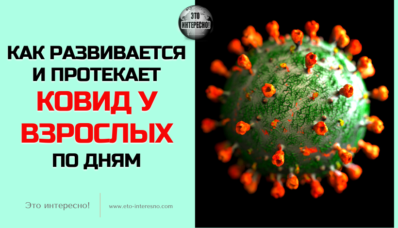 СИМПТОМЫ КОРОНАВИРУСА ПО ДНЯМ: КАК РАЗВИВАЕТСЯ И ПРОТЕКАЕТ КОВИД У ВЗРОСЛЫХ