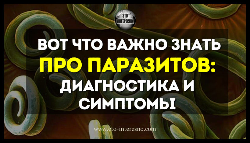 ВОТ ЧТО ВАЖНО ЗНАТЬ ПРО ПАРАЗИТОВ: ДИАГНОСТИКА И СИМПТОМЫ