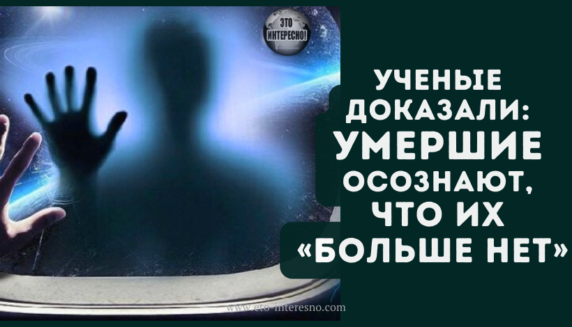 УЧЕНЫЕ ДОКАЗАЛИ. УМЕРШИЕ ОСОЗНАЮТ, ЧТО ИХ «БОЛЬШЕ НЕТ» И ПОЛНОСТЬЮ ЧУВСТВУЮТ ОКРУЖАЮЩИЙ МИР