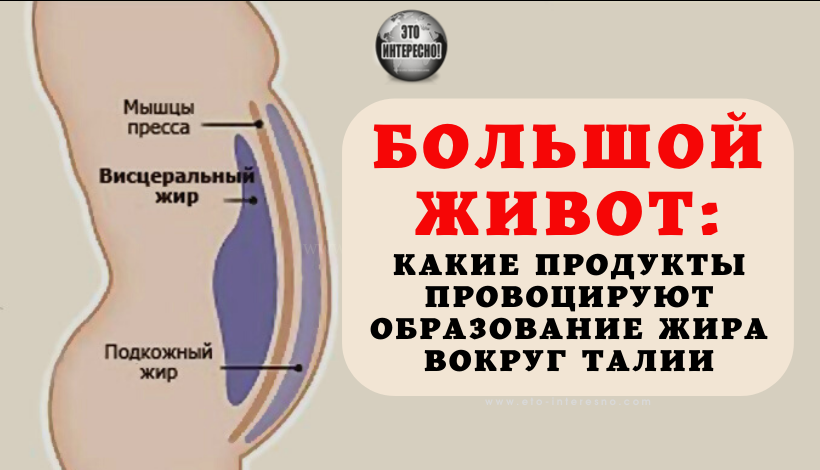 БОЛЬШОЙ ЖИВОТ: КАКИЕ ПРОДУКТЫ ПРОВОЦИРУЮТ ОБРАЗОВАНИЕ ЖИРА ВОКРУГ ТАЛИИ