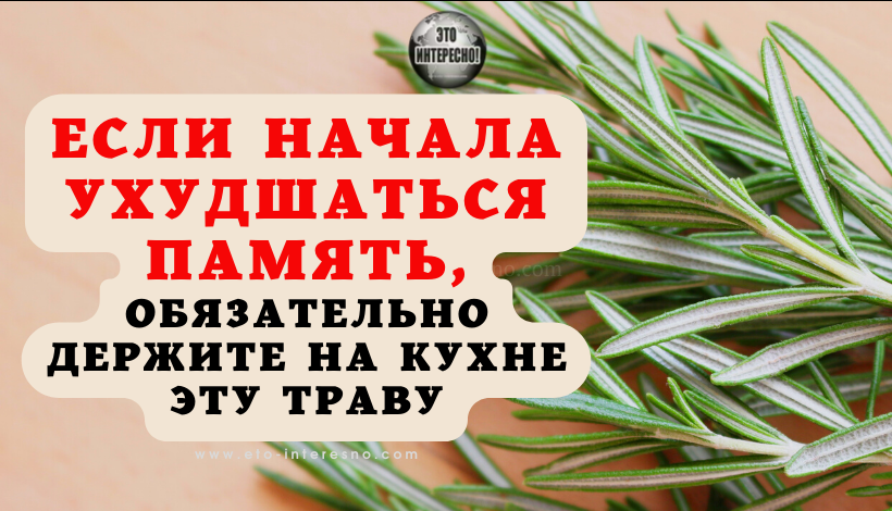 ЕСЛИ НАЧАЛА УХУДШАТЬСЯ ПАМЯТЬ, ОБЯЗАТЕЛЬНО ДЕРЖИТЕ НА КУХНЕ ЭТУ ТРАВУ! ПОМОЖЕТ УЛУЧШИТЬ КОГНИТИВНЫЕ ФУНКЦИИ!