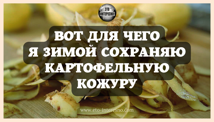 ВОТ ДЛЯ ЧЕГО Я ЗИМОЙ СОХРАНЯЮ КАРТОФЕЛЬНУЮ КОЖУРУ