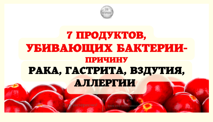 7 ПРОДУКТОВ, УБИВАЮЩИХ БАКТЕРИИ — ПРИЧИНУ РАКА, ГАСТРИТА, ВЗДУТИЯ, АЛЛЕРГИИ И ПР.