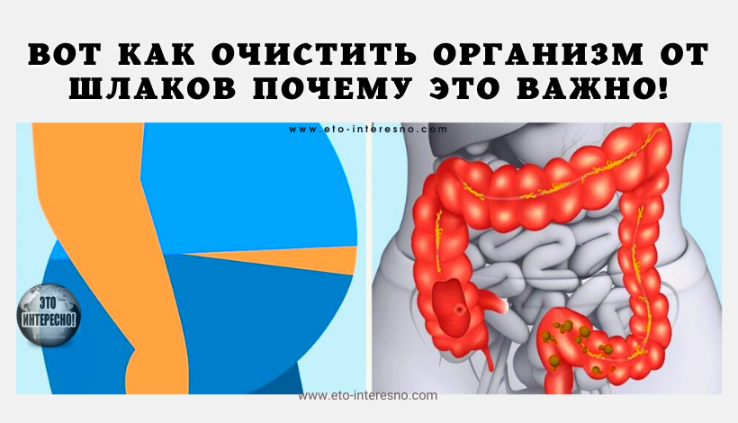 ВОТ КАК ОЧИСТИТЬ ОРГАНИЗМ ОТ ШЛАКОВ И ПОЯЧЕМУ ЭТО ТАК ВАЖНО ДЛЯ ЗДОРОВЬЯ