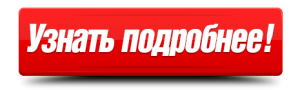 ДОБРАЯ ЭНЕРГЕТИКА ПИТОМЦЕВ: КАК КОШКИ И СОБАКИ ЗАЩИЩАЮТ ДОМОЧАДЦЕВ ОТ БЕДЫ