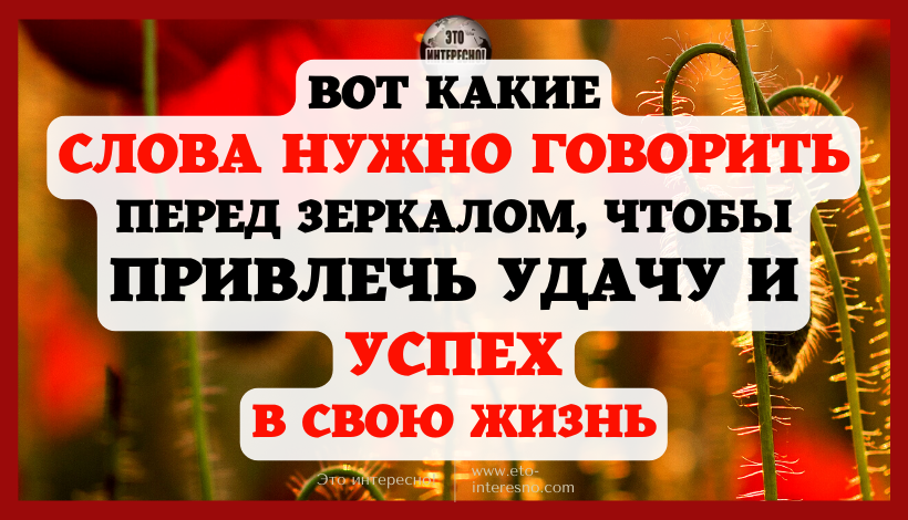 ВОТ КАКИЕ СЛОВА НУЖНО ГОВОРИТЬ ПЕРЕД ЗЕРКАЛОМ, ЧТОБЫ ПРИВЛЕЧЬ УДАЧУ И УСПЕХ В СВОЮ ЖИЗНЬ