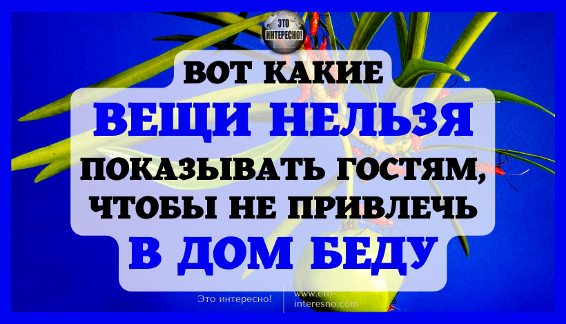 ВОТ КАКИЕ ВЕЩИ НЕЛЬЗЯ ПОКАЗЫВАТЬ ГОСТЯМ, ЧТОБЫ НЕ ПРИВЛЕЧЬ В ДОМ БЕДУ