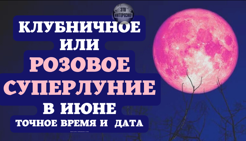 КЛУБНИЧНОЕ ИЛИ РОЗОВОЕ СУПЕРЛУНИЕ. ПОЛНОЛУНИЕ В ИЮНЕ 2022 ГОДА. ТОЧНАЯ ДАТА И ВРЕМЯ