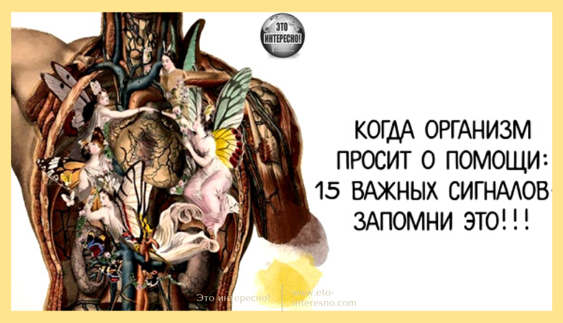 15 ВАЖНЕЙШИХ СИГНАЛОВ, КОГДА НАШ ОРГАНИЗМ ПРОСИТ ПОМОЩИ