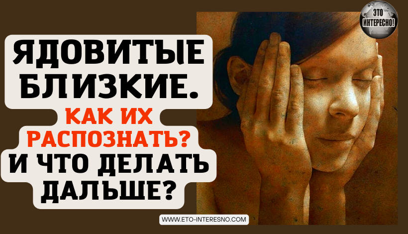 ЯДОВИТЫЕ БЛИЗКИЕ. КАК ИХ РАСПОЗНАТЬ? И ЧТО ДЕЛАТЬ ДАЛЬШЕ?